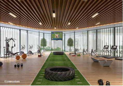 Damji Shamji Mahavir Spring Gym